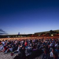 Un Violon sur le Sable ©Xavier Renaudin