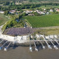 Un Violon sur la Ville - Talmont ©Xavier de la Chenais