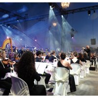 Un Violon sur le Sable ©Xavier Renaudin Un Violon sur le Sable ©Xavier Renaudin