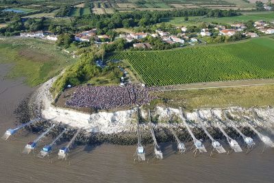 Un Violon sur la Ville à Talmont ©Arnaud de la Chenais