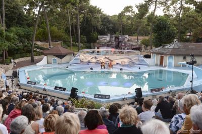Un Violon sur la Ville au Zoo de La Palmyre ©Xavier Renaudin